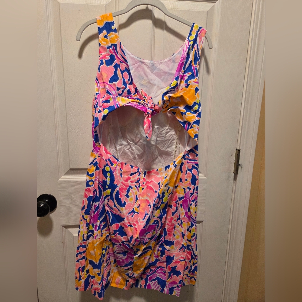 Lilly Pulitzer Courtney Shift Dress in Brilliant Blue Catch And Release Size 14 - Picture 3 of 6